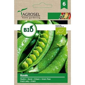 Seminte mazare Rondo AGROSEL, 4.6 g