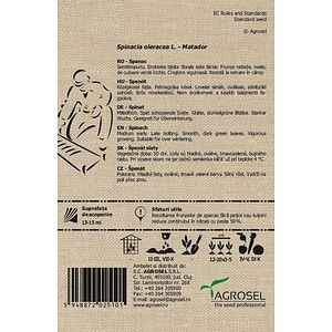 Spanac Geant D Hiver Bio 6G Plic