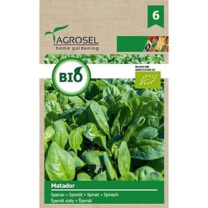 Seminte spanac Matador eco AGROSEL, 5.45 g