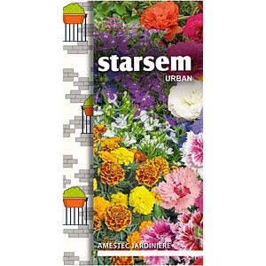 Seminte flori Jardiniere STARSEM, 1.3g