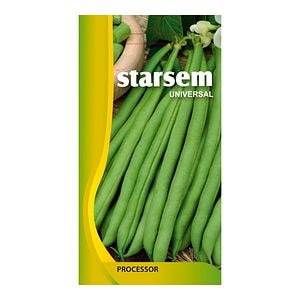Fasole Oloaga Scuba  Starsem