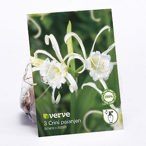 Bulbi VERVE Crin Spider, alb
