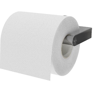 Suport hartie igienica GOODHOME Drina, argintiu