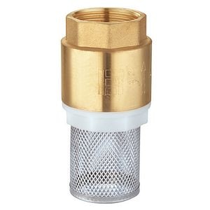 Supapa de sens cu sorb 2"  Everline