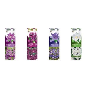 Planta cataratoare Clematis