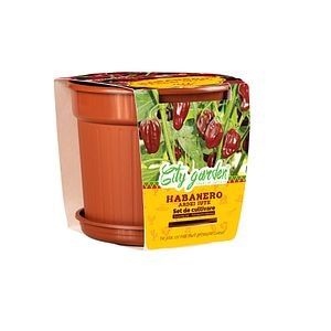 Set de cultivare Habanero chocolate, seminte ardei iute  Yurta