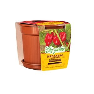 Set de cultivare Habanero rosu, seminte ardei iute  Yurta