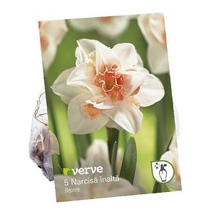 Bulbi Narcise Replete, 5 bucati