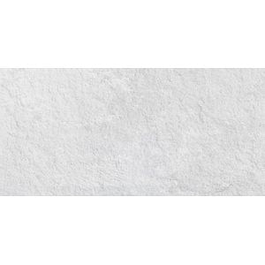 Gresie Exterior, Gri, 60 x 30 cm, suprafata 1.26 mp, Fuentede