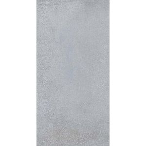 Gresie Interior, Gri, 60 x 30 cm, suprafata 1,62 mp • Kai Avenue