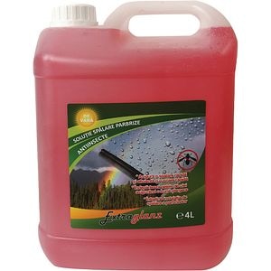 Lichid parbriz EXTRAGLANZ, vara, antiinsecte, 4l