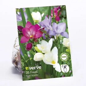 Frezie Pastel VERVE, mix