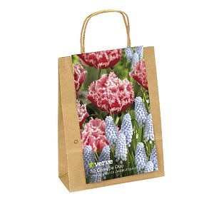 Lalea Queensland  Verve