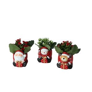 Katy Flaming, in ghiveci