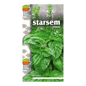 Busuioc  Starsem