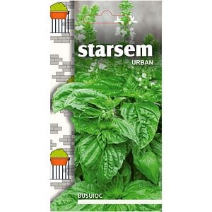 Seminte de legume Busuioc STARSEM, 1 plic