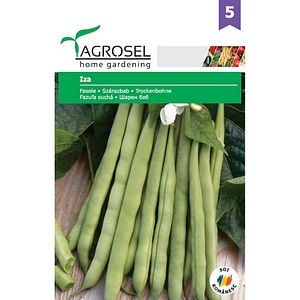 Seminte de legume Fasole Iza AGROSEL, 1 plic