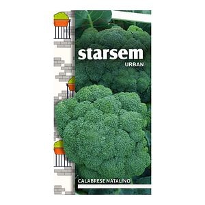 Broccoli calabrese Natalino