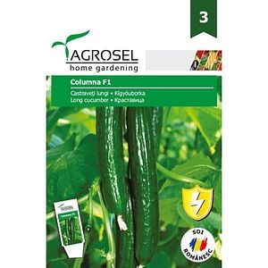 Seminte de legume Castraveti lungi Columna F1, 1 plic