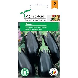 Seminte de legume Vinete Corvus, 1 plic