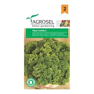 Patrunjel de frunza Moss Curled 2   Agrosel