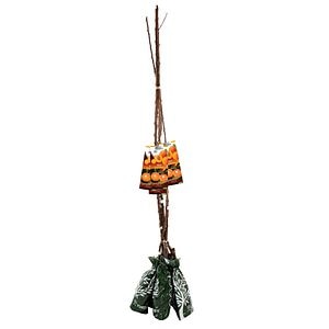 Pom Fructifer Specia Cais