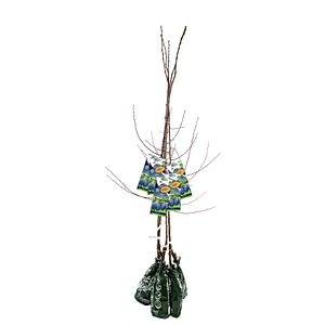 Pom Fructifer Specia Prun