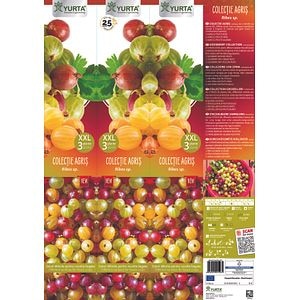 Arbusti Fructiferi Agris Xxl 3 Buc