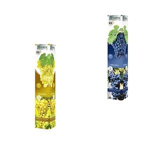 Vita de vie altoita, de vin, 30-35 cm