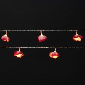 Ghirlanda luminoasa trandafiri, 10 LED, iluminare alb cald