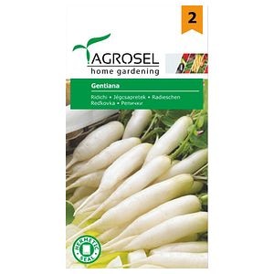 Ridichi de luna Gentiana