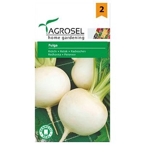 Ridichi de vara albe, Fulga • Agrosel