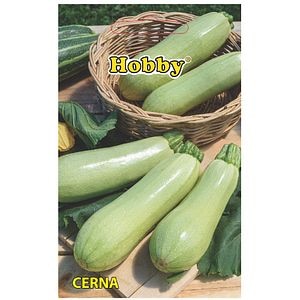 Seminte de legume Dovlecel Cerna, 1 plic