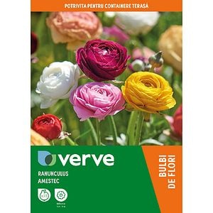 Bulbi Mix Ranunculus, 35 bucati
