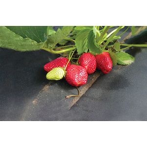 Folie mulcire antiburieni Vodaland, 3.2 x 10 m