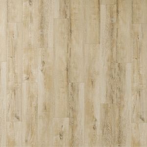 Parchet laminat, stejar deschis, 8 mm, AC3, 2.292 mp/cutie, Bella Neo Gardenia