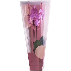 Punga pentru plante New Balance, roz