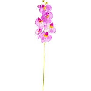 Fir orhidee Phalaenopsis artificiala, 7 flori si 1 boboc