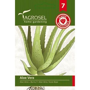 Seminte Aloe vera AGROSEL