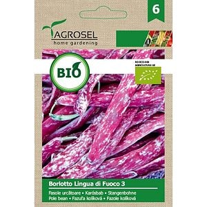 Seminte fasole urcatoare Borlotto lingua di fuoco 3 AGROSEL, 4.6 g