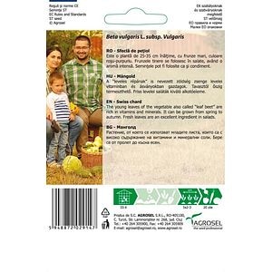 Sfecla De Petiol Groene Grewone