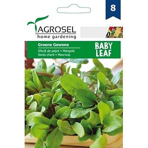 Seminte sfecla de petiol Groene Gewone AGROSEL, 5.15 g