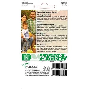 Begonia Mj.