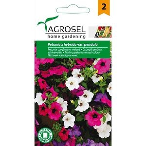 Seminte flori Petunia curgatoare melanj AGROSEL