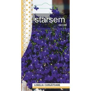 Seminte Lobelia Curgatoare STARSEM, albastru