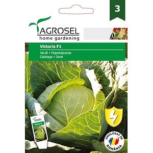 Seminte varza Victoria AGROSEL, 5.15 g