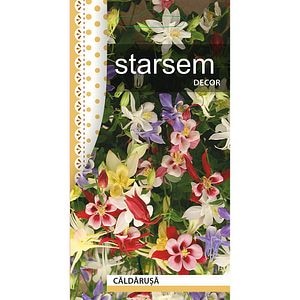 Seminte Caldarusa STARSEM, multicolor