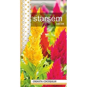 Seminte Creasta Cocosului STARSEM, multicolor