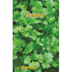 Seminte coriandru AGROSEL, 3.45 g