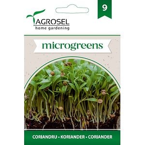 Seminte coriandru (microgreens) AGROSEL, 5.15 g
